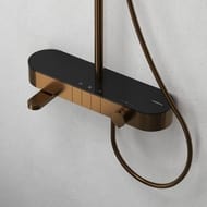 ������� ������� Abelsberg Intensa SNS52655BC � ����������� � ������ ��� ����� � ����, �������� ����