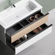 ����� ��� �������� SANCOS Delta (995x445x500) ���������, 2 �����, ��� �������/����� DL100W