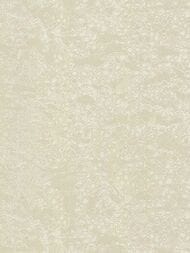 ���� ��������� �� ��������� ROBERTO CAVALLI Home 8 (1,06�10,05) �����, ������� 19037 (���.)