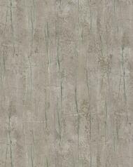 ���� ��������� �� ��������� VALENTIN YUDASHKIN 5 (1,06�10,05) ����������, �������� 86050 (���.)