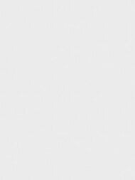 ���� ��������� �� ��������� Wall Up Step-Up (1.06x10.05) ���������, ����� W185013 (���.)