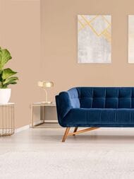 ���� ������������ Hygge 77 Colors C2 03 (1,00�10,05) ������� (���.)