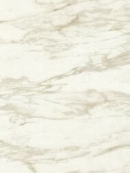 ���� ��������� �� ��������� ROBERTO CAVALLI  9 (1,06�10,05) ��� ������, ������-����� 21022 (���.)