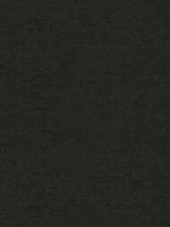 ���� ��������� �� ��������� Zambaiti Vision (0,7�10,05) �����, ������ 76008  (���.)