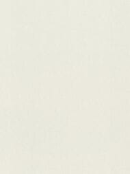 ���� ��������� �� ��������� Rasch Gentle Elegance (1,06x10,05) ���������, ������-����� 980318 (���.)