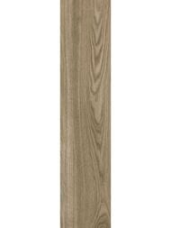 ��������������� ������ Alma Ceramica Andora (200x900) ���������� GFA92ADR44R (��.�)