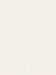 ���� ��������� �� ��������� Wall Up Step-Up (1.06x10.05) ���������, ������� W187002 (���.)