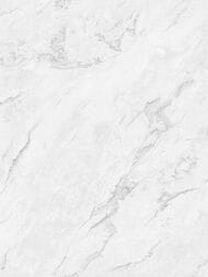       (1,0610,05)  ,  AR11021-01 ()