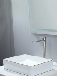 ��������� ��� �������� ������� , FRAP ����, F10806-2