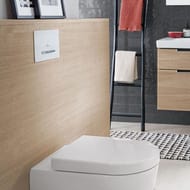 Клавиша смыва Villeroy&Boch ViConnect пластик, белый мат/хром мат 922169N5