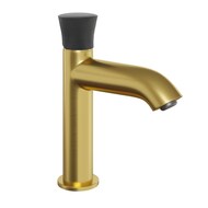    Paini Domus ,  /,   18PJ205PZ