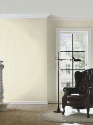 ���� ��������� �� ��������� Rasch Allegretto (0.53x10.05) ���������, ������� 424058 (���.)