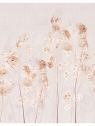 ����� ��������� �� ��������� Marburg Memoria (2,12�2,70) �����, ������� 34305 (���.)