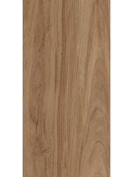   Lasselsberger  (300600)  , ,6260-0196-1001 (..)