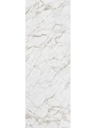 ��������������� ������ LAMINAM I NATURALI Calacatta Vagli Oro Luc.(1000�3000�5,6)LAMFF00677_IT(��.�)