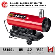 �������� ����� ���� ���������, ��������� �������, 65 ���, �������,  ���-�10-65-�