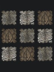 ����� ��������� �� ��������� ROBERTO CAVALLI Home 8 (3,0�3,0) ��������,���� ��������.19105 (���.)