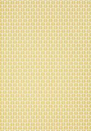 ���� �������� Thibaut Paramount (0,69�8,22) ������ T2977 (�����)