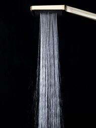 ������� ������� � ���������� �������, ������ � ������� ����� , FRAP ����� �������, F2461-3