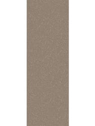 ��������������� ������ Staro Slab GRAVEL OLIVE Polished (800�2400�15) ���������, ���������� (��.)