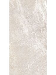 ������ ��������� Alma Ceramica Persey (249x500) ������� TWU2550PRS40 (��.�)