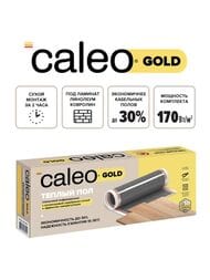    CALEO GOLD 12, 230/2, 0,5  2, 230,   