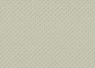     Armani / Casa Refined Structures 1 (0,710,05)  9242 GA2 ()