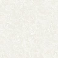 ���� ��������� �� ��������� Wiganford Hampton (1,06�10,05) ������ � �������, DTT21501 (���.)