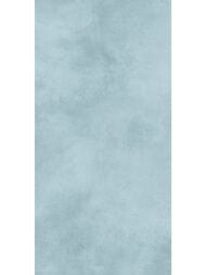 ������ ��������� Alma Ceramica Richard (249x500) ������� TWU09RCD606 (��.�)