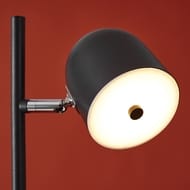 ��������� ���������� Freya Unique (����) FR5279FL-L7B, 2700 K, 86 Ra, 220/240 V, IP 20, ������
