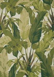���� ����������� �� ��������� Thibaut Tropics (0,69�8,22) ������� T10131 (�����)