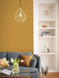 ���� ��������� �� ��������� Rasch Country Charme (0,53�10,05) �����, ��������� 452075 (���.)