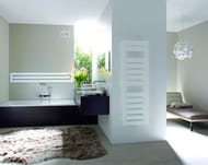 Полотенцесушитель стальной Zehnder Metropolitan METE-080-040/RACY-C (805х400) электрический, белый