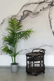 ���� 21/06 (600�450�770) �������������, ������, ����-����������