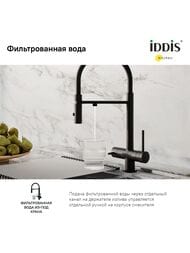 Смеситель Iddis ACE для кухни, с каналом для фильтров. воды, гибкий излив, черный матовый ACEBLFFi05