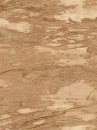 ���� ��������� �� ��������� ROBERTO CAVALLI  9 (1,06�10,05) ��� ������, ���������� 21029 (���.)