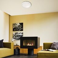 ��������-���������� ���������� Sonex Pale Gino 2045/ELN, �����