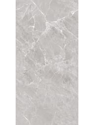 ��������������� ������ Ceradim Mramor Chic Silver (600�1200) ����� 9999304610  (��.�.)