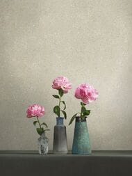 ���� ������������ LOYMINA Materials TER3 005 (1�10,05) ���������, ������� (���.)