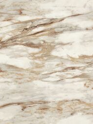 ���� ��������� �� ��������� ROBERTO CAVALLI  9 (1,06�10,05) ��� ������, ���������� 21021 (���.)