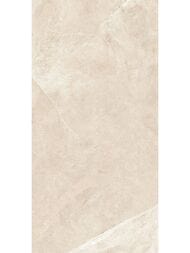 ��������������� ������ Alma Ceramica Basalto (600x1200) ������� GFU60120BST04R (��.�)