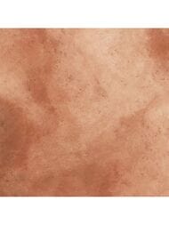 ��������������� ������ Porcelanite Dos Montana 1869 Terracota (1000x1000) ��� ����� (��.�.)