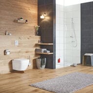 Унитаз Grohe Euro Ceramic 39206000 подвесной (374х316х490) компактный, безободковый