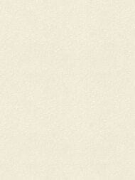 ���� ��������� �� ��������� Rasch Gentle Elegance (1,06x10,05) ���������, ������� 959659 (���.)