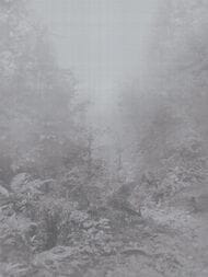 ����� Armani / Casa Precious Fibers 2 (3,48�3,00) ��������, ����� 9401 GA4  (��)