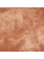 ��������������� ������ Porcelanite Dos Montana 1869 Terracota (1000x1000) ��� ����� (��.�.)