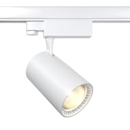 �������� ���������� Maytoni Vuoro (�����) TR029-3-20W4K-M-W Trinity 4000K 20�� 36�, IP20, �����