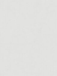 ���� ��������� �� ��������� As Creation Pacifica Deluxe (1,06�10,05) ����� 39939-4 (���.)