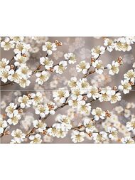 ����� AZORI Amati Sakura (402�505) (��������)