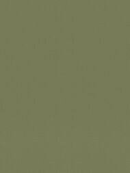 ���� ��������� �� ��������� Rasch Allegretto (0.53x10.05) ���������, ������� 687538 (���.)